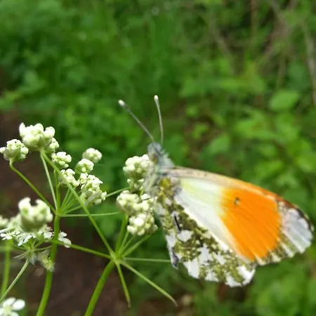 Wohlfuehlen In Ostseenaehe