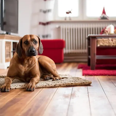 Wohlfuehlen In Ostseenaehe