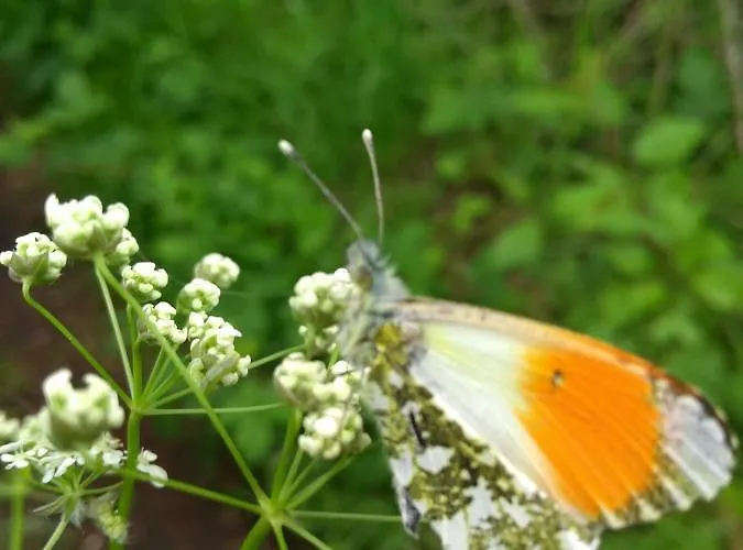 Wohlfuehlen In Ostseenaehe