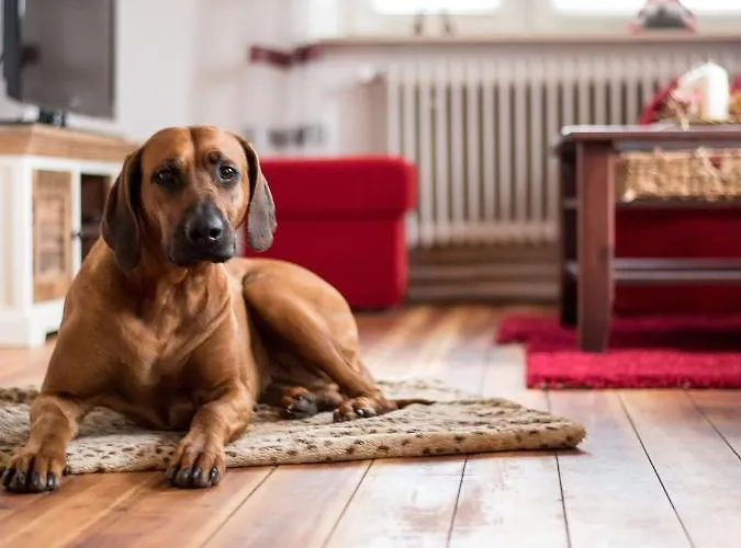 Wohlfuehlen In Ostseenaehe